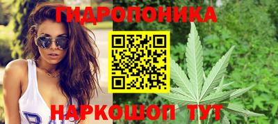 наркотики Новозыбков